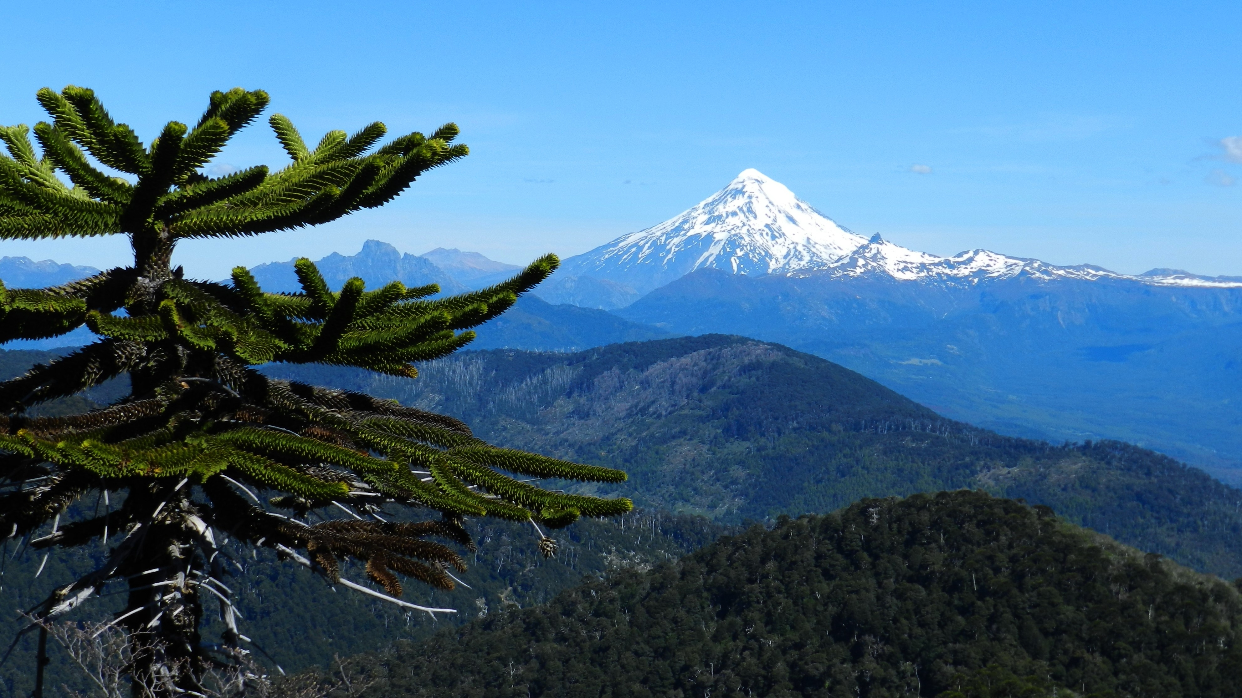 Paisaje La Araucanía